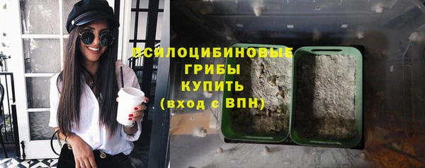 прущая мука Белокуриха