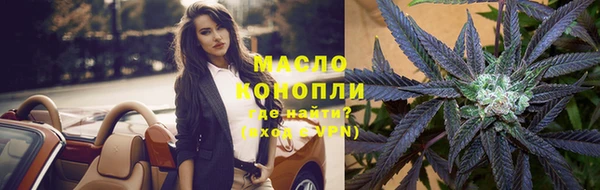 сатива Балахна